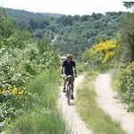 Ana - Wake Up To The Sea, Balcony, Terrace, Garden & Parking, - Dalmatia Lägenhet