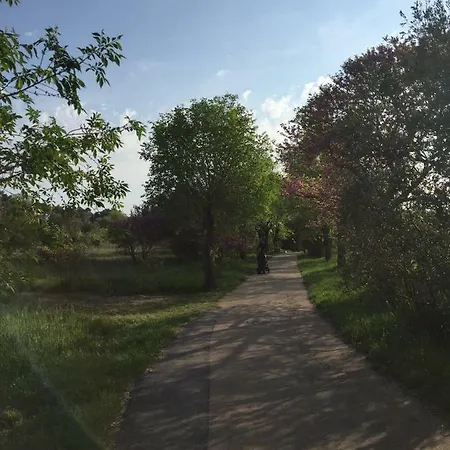 公寓 Ana - Wake Up To The Sea, Balcony, Terrace, Garden & Parking, - Dalmatia *