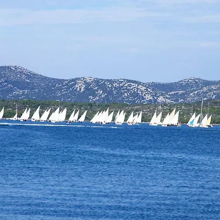 Ana With Sea View, Balcony, Garden & Bbq, - Dalmatia Apartment
