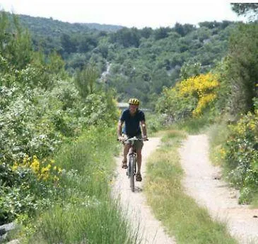 Ana - Wake Up To The Sea, Balcony, Terrace, Garden & Parking, - Dalmatia Apartament