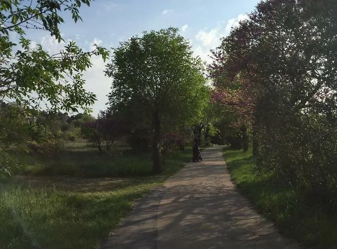 Daire Ana - Wake Up To The Sea, Balcony, Terrace, Garden & Parking, - Dalmatia *