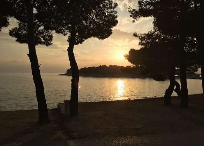 Ana - Wake Up To The Sea, Balcony, Terrace, Garden & Parking, - Dalmatia Murter